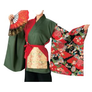 よさこい衣装　よさこいコスチューム（レディース）　4-ty60012