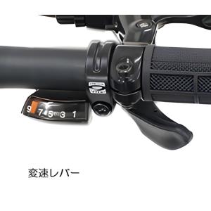 送料無料 RENAULT ルノー PLATIN...の詳細画像3