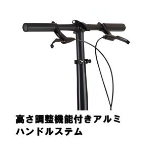 送料無料!RENAULT PLATINUM L...の詳細画像2