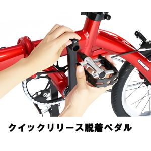 送料無料!RENAULT PLATINUM L...の詳細画像5
