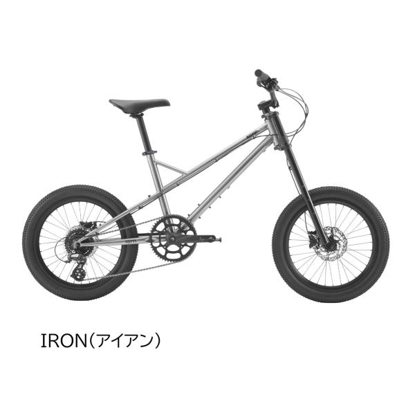 2026モデル Tern MASHUP  ミニベロ 完全組立 整備済み アイアン　店頭お渡し限定