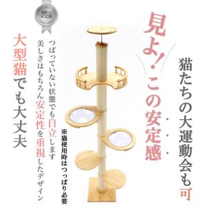 猫家族 突っ張り強化設計 倒れない キャットタ...の詳細画像1