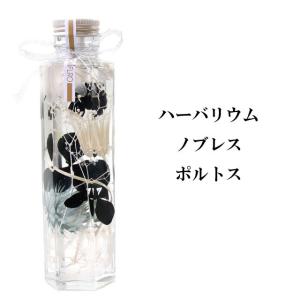 ハーバリウム ノブレス 花材 オイル 瓶 花 ...の詳細画像1