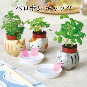 栽培セット Peropon ペロポン キャッツ 栽培キット 植物 グリーン ハーブ ワイルドストロベリー バジル ミント ミケネコ サバトラ 茶トラ かわいい おしゃれ