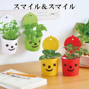 きっとみつかる四つ葉のクローバー栽培セット 聖新陶芸 草花 ハート型