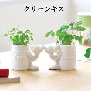 ディズニー グリーンキッス ミッキーマウス アップルミント 観葉植物 栽培セット 聖新陶芸 ガーデニング インテリア雑貨 プレゼント ギフト 景品 Bs ウィッグランド 通販 Yahoo ショッピング