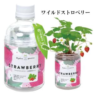 栽培キット 育てるグリーンペット 栽培セット ...の詳細画像3