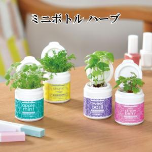 ハーブ栽培キット ミニボトル