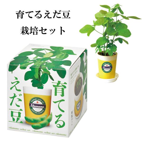 栽培キット 育てるえだ豆栽培セット 栽培セット 植物 枝豆 えだまめ ビール おつまみ つまみ お酒...