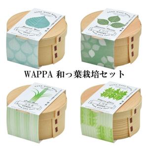 栽培セット WAPPA 和っ葉 栽培キット 植物 動物 グリーン ハーブ 野菜 シソ 三つ葉 コネギ 水菜 薬味 わっぱ かわいい おしゃれ インテリア 置物 グッズ｜753nagomi