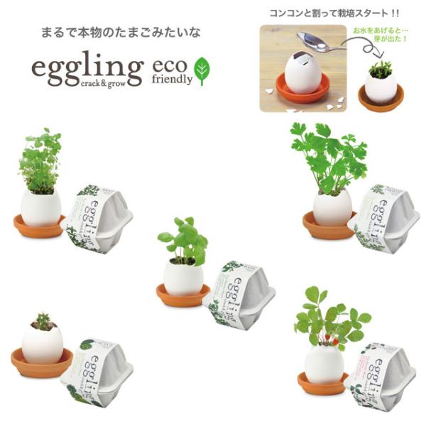 栽培キット eggling eco friendly エッグリング エコフレンドリー 「即納」 ミン...