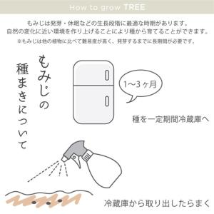 栽培キット 染付小紋盆栽栽培セット 盆栽 ミニ...の詳細画像3