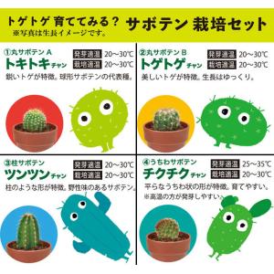 栽培キット 育てるカプセル サボテン 栽培セッ...の詳細画像1