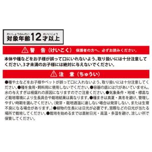 栽培キット 育てるカプセル サボテン 栽培セッ...の詳細画像5