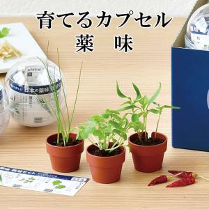 栽培キット 育てるカプセル 薬味 栽培セット 植物 グリーン 青じそ 鷹の爪 ねぎ 三つ葉 わさび菜 野菜 かわいい おしゃれ ギフト グリーン｜753nagomi