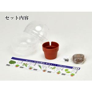 栽培キット 育てるカプセル 薬味 栽培セット ...の詳細画像2