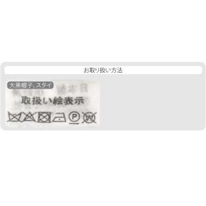お宮参り フードセット 通年用 日本製 男の子...の詳細画像4