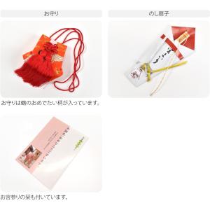 お宮参り フードセット 通年用 日本製 女の子...の詳細画像3