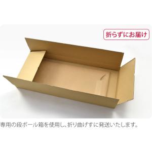 たとう紙用 厚紙 通年用 日本製 台紙 10枚...の詳細画像5