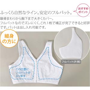 和装ブラ 通年用 あづま姿 フルパット 和装ブ...の詳細画像5
