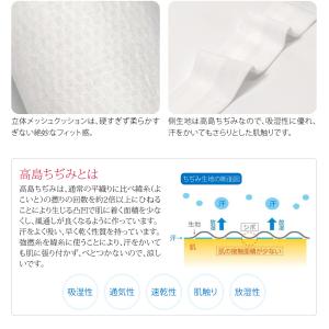 帯枕 お太鼓用 通年用 日本製 このび 高島ち...の詳細画像3