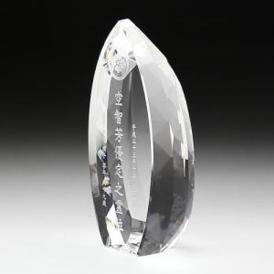 Swarovski クリスタル オープンシェル⭐︎お買い上証明書付き SWAROVSKI（スワロフスキー） ピアス Matrix マトリックス フープ