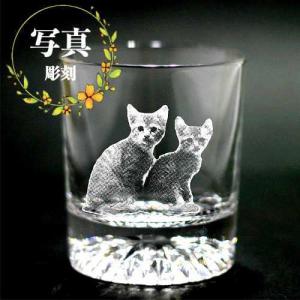名入れ ロックグラス ペット グッズ ギフト 記...の商品画像