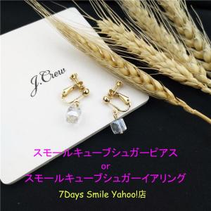 スモールキューブシュガー ピアス or イアリン...の商品画像