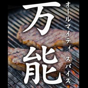 ほりにし詰替え用300g アウトドアスパイス ...の詳細画像2