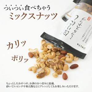 (クリックポスト発送) アウトドアスパイス ほ...の詳細画像2