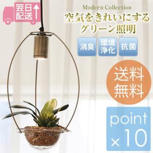 空気をきれいにするグリーン照明JE-P06P LEDペンダントライト 光触媒 modern collection LEDチップ ペンダントライト おしゃれ照明 グリーン照明｜7dials