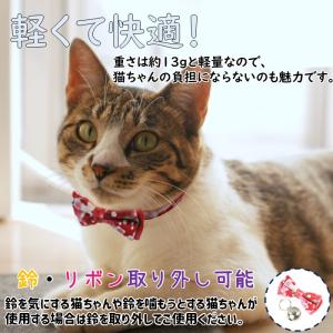 猫 首輪 ネームプレートセット 安全 セーフテ...の詳細画像4