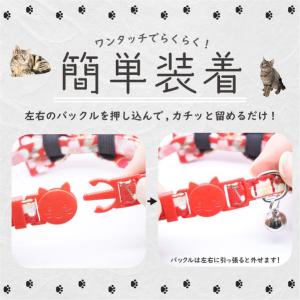 猫 首輪 ネームプレートセット 安全 セーフテ...の詳細画像3