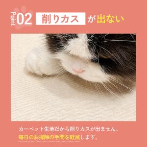 PET PINA 猫 爪とぎ シート 爪研ぎ ...の詳細画像4