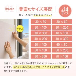 PET PINA 猫 爪とぎ シート 爪研ぎ ...の詳細画像5