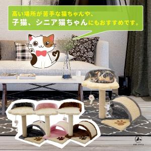 PET PINA ペットピナ キャットタワー ...の詳細画像1