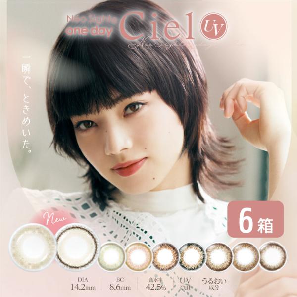 最安挑戦 24時間 注文受付 AIRE ネオサイトワンデーシエルUV30枚入り 6箱/ まとめ買い ...