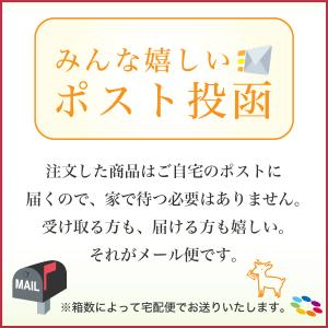 AIRE お試し プライムワンデー 2箱 ( ...の詳細画像4