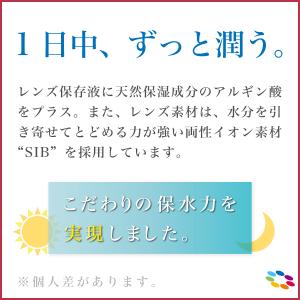 最安挑戦 ワンデーピュアうるおいプラス 2箱 ...の詳細画像3