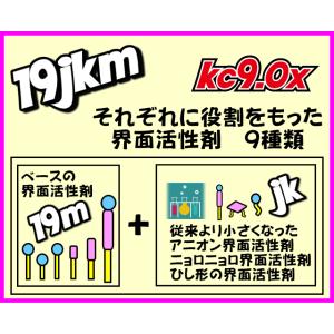 活性クリーナーkc9.0x 4リットル F2フ...の詳細画像4