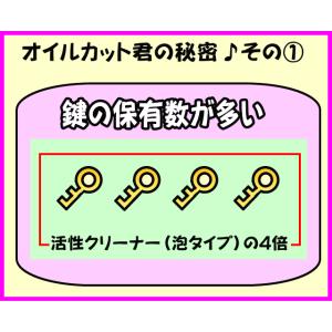 オイルカット君 2リットル 泡洗浄の後に使用す...の詳細画像5