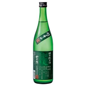 日本酒　佐賀県　天吹酒造　15度　天吹 超辛口 特別純米　生　720ml