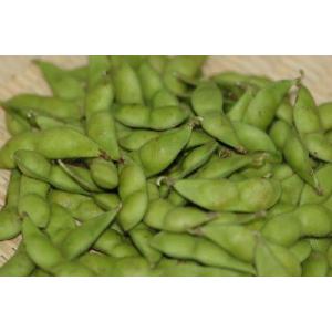 山形県鶴岡産 生 だだちゃ豆 約180g枝豆 ...の詳細画像1