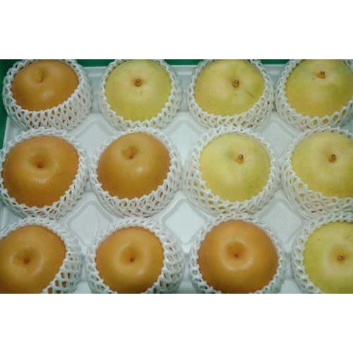 2026年9月分予約 最高品質詰め合わせ 二十世紀梨 豊水梨 約10キロ大玉24〜28個入 贈答向け...