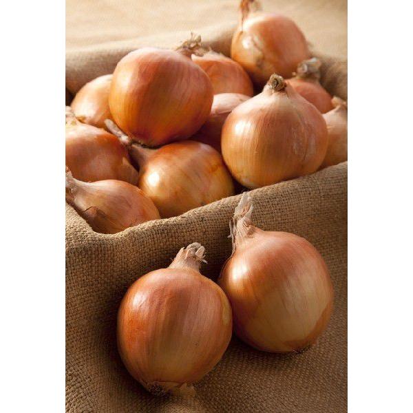 淡路産 玉ねぎ 10kg 30~60個入 玉葱 タマネギ たまねぎ 玉ネギ * ふるさと納税 ではあ...