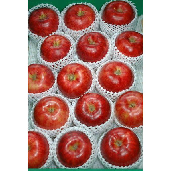 サンつがる 特選品質 約5kg大玉13〜16玉 化粧箱入 りんご リンゴ 林檎 S10