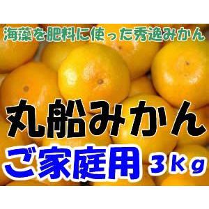 【訳あり】和歌山県有田産 丸船みかん S〜2Lサイズ 3kg 15〜40個入 有田みかん