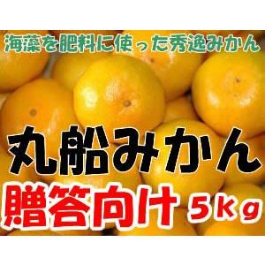 和歌山 有田産 丸船みかん 贈答向け 5kg S〜2Lサイズ 秀品 有田みかん