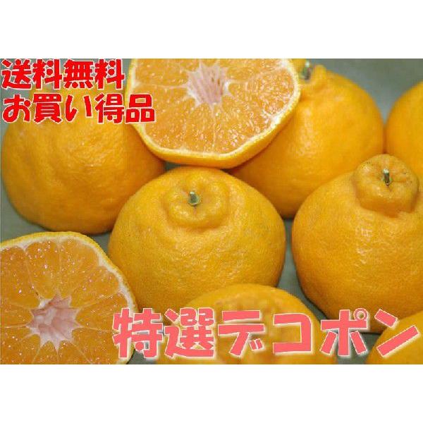 訳あり 熊本産 デコポン 約5kg 11~18玉入 家庭用 でこぽん * ふるさと納税 ではありませ...
