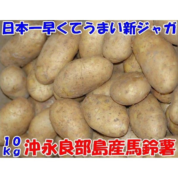 日本一早くてうまい新じゃが 鹿児島県沖永良部産 馬鈴薯 10kg 40〜60個入 メークイン L〜2...